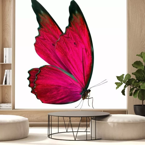 Sticker Vlinder met gevouwen vleugels