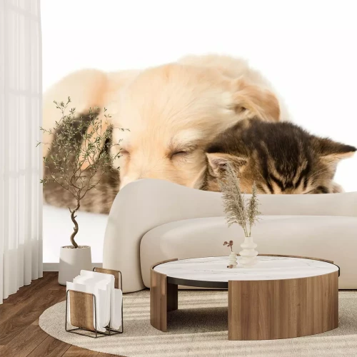 Fotobehang Hond en kat slapen