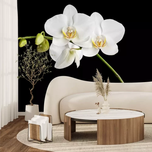 Sticker Witte tropische bloemen op zwarte achtergrond