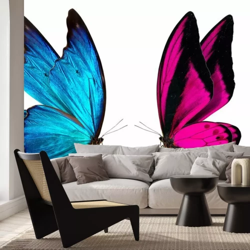 Sticker Twee vlinders kijken elkaar aan