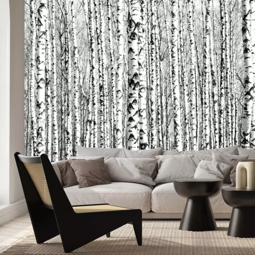 Fotobehang Lente zwart-witte berkenstammen