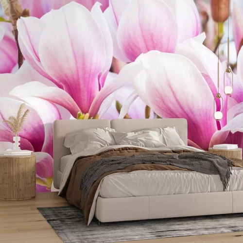 Sticker Sluit omhoog van vele magnolia's