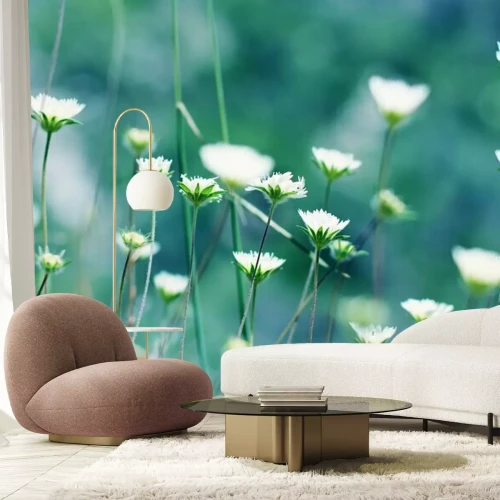 Fotobehang Bloeiende bloemen in de wei