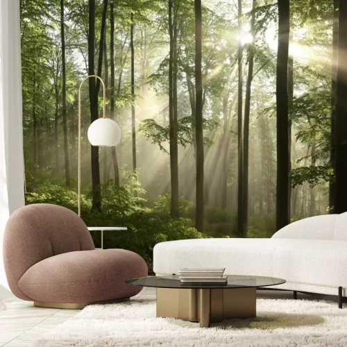 Fotobehang Landschap van een lentemorgen in het bos