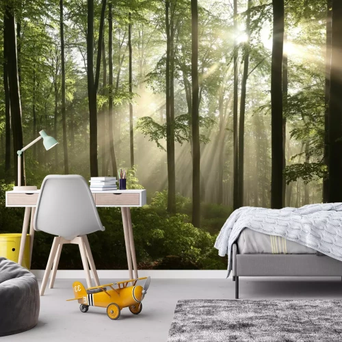 Fotobehang Landschap van een lentemorgen in het bos