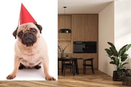 Visualisatie van het product