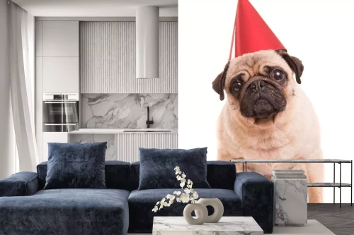 Visualisatie van het product