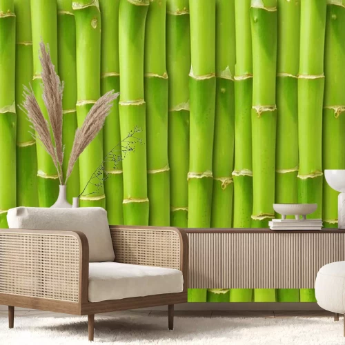 Fotobehang Groene bamboescheuten
