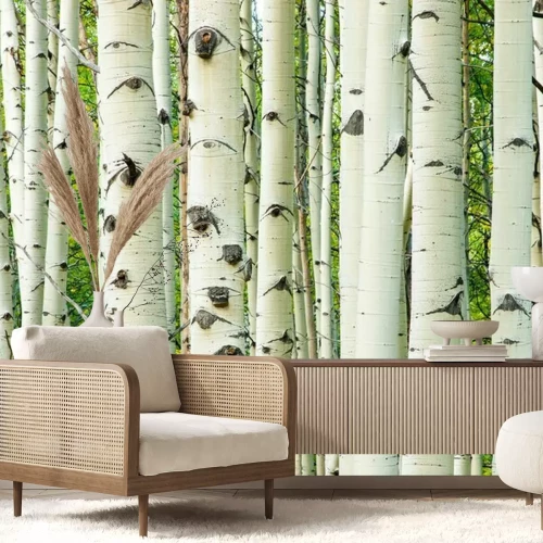 Fotobehang Witte berkenstammen macro