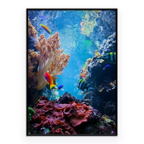Poster Onderwaterwereld met koraalrif en veelkleurige vissen