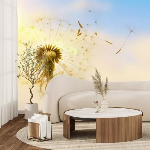 Fotobehang Paardenbloem en vliegende zaden