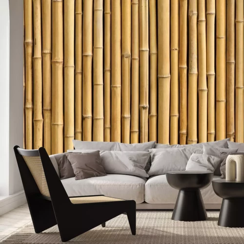 Fotobehang Bamboescheuten