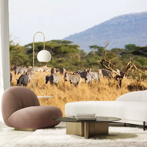 Sticker Zebra eten in Afrika