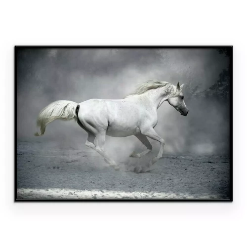 Poster Een galopperend paard en stofwolken
