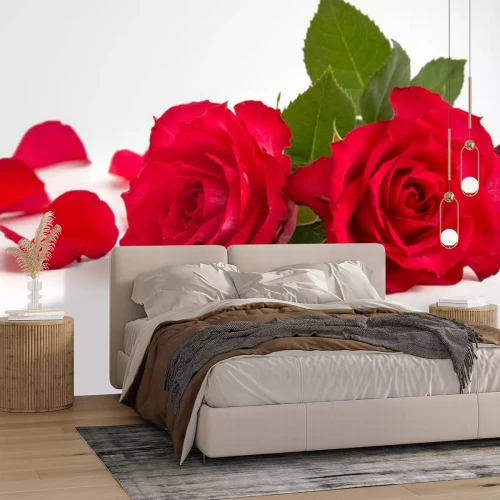 Sticker Rode rozen met gevallen bloemblaadjes