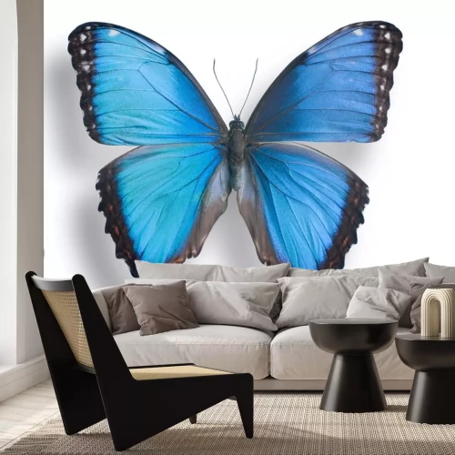 Sticker Afbeelding van blauw vlindertje