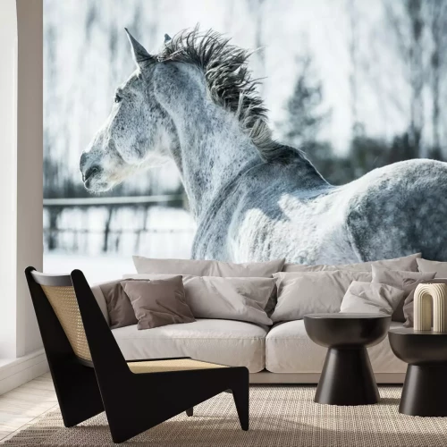 Fotobehang Een gevlekt paard in de winter.