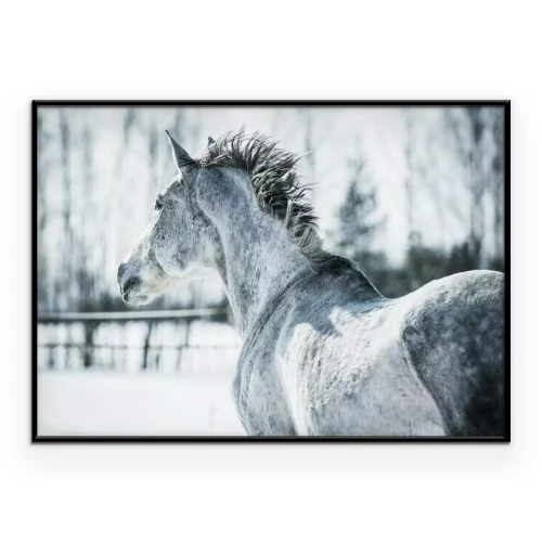 Poster Een gevlekt paard in de winter.