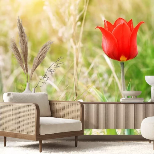 Sticker Rode bloem op een weide