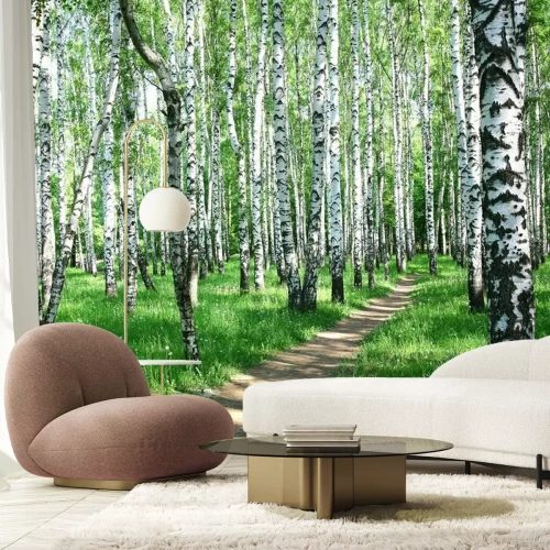 Fotobehang Berken op een weide