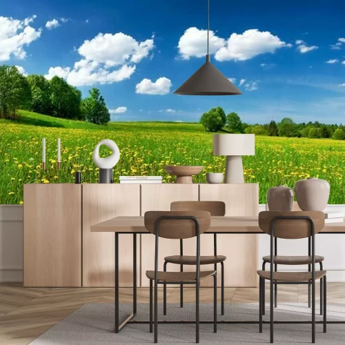 Fotobehang Weide met paardenbloemen