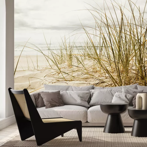 Fotobehang Gras op een zandstrand