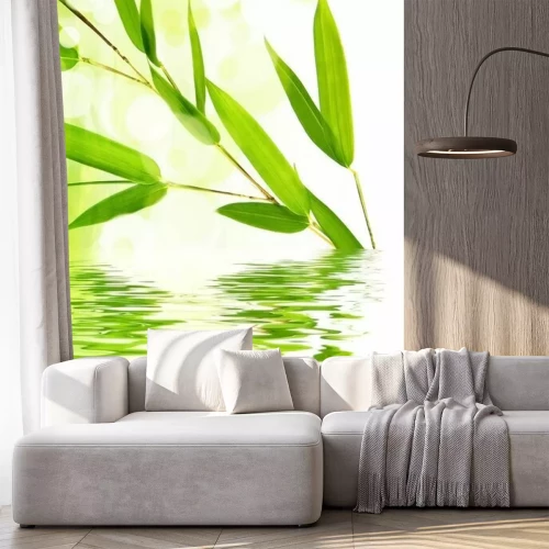 Fotobehang Trendy bamboe bladeren aan het water