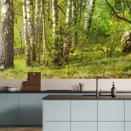 Fotobehang Panorama van berkenstammen