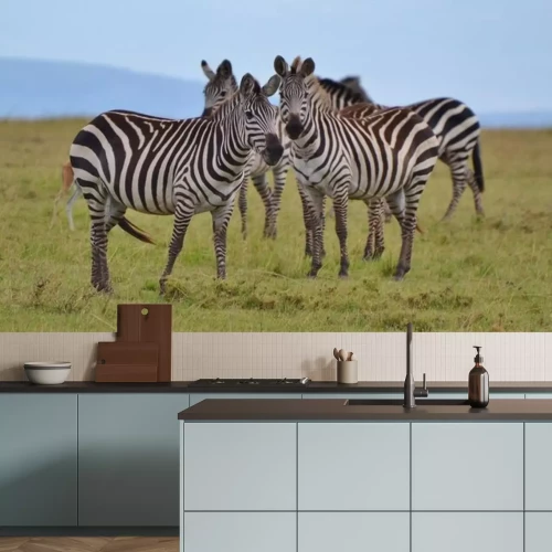 Sticker Kudde van Zebra