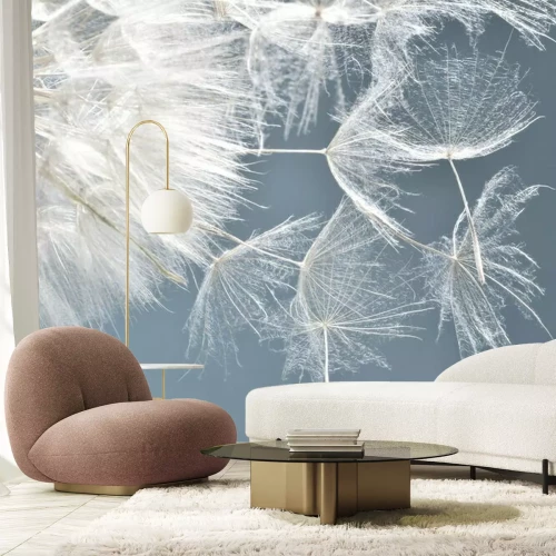 Fotobehang Paardenbloem en zaden op de hemelachtergrond