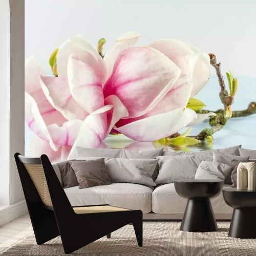 Fotobehang Magnolia op water