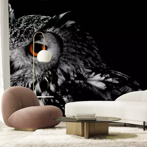 Fotobehang Bengaalse oehoe op een donkere achtergrond