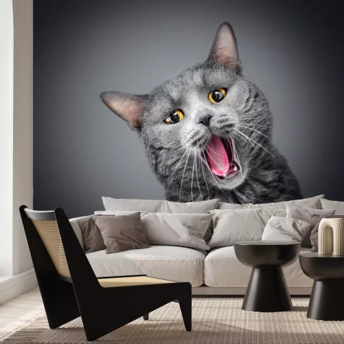 Sticker Katten grijze kat met gele ogen en een open mond