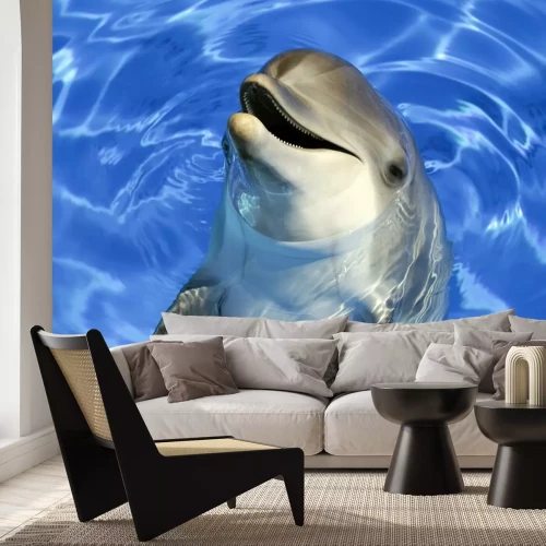 Sticker Portrait d'un dauphin commun