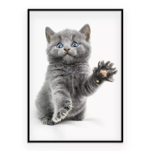 Poster Grijze kitten op een witte achtergrond