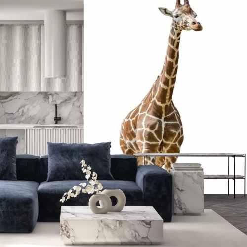 Sticker Grote giraffe geïsoleerd op wit