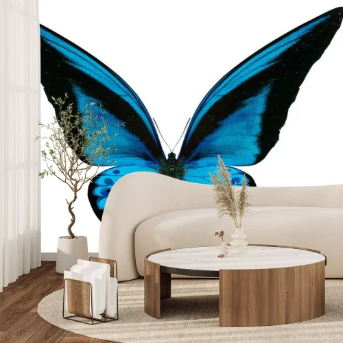 Sticker Blauwkleurige vlinder op witte achtergrond