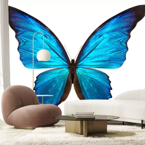 Sticker Vlinder op een heldere achtergrond