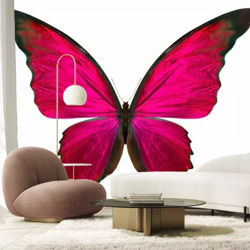 Sticker Vlinder in verzadigde kleuren