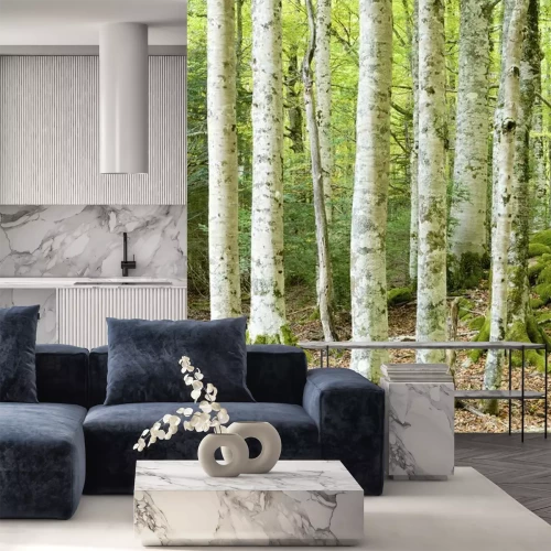 Fotobehang Mos op berken