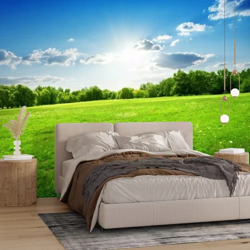 Fotobehang Groen gras in de zon