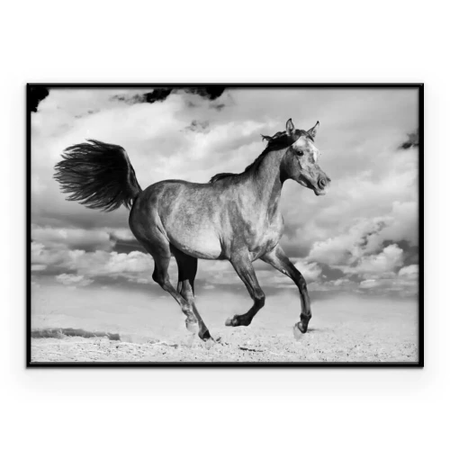 Poster Een paard galoppeert tegen de achtergrond van wolken in de lucht.