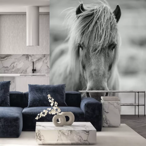 Fotobehang Monochrome pony op grijze achtergrond