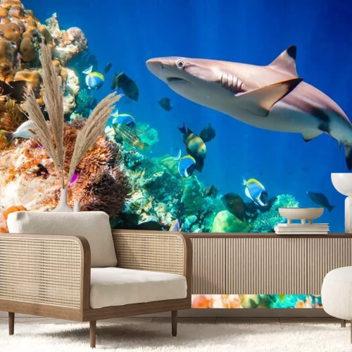 Fotobehang Tropisch koraalrif en haai