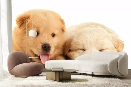 Visualisatie van het product