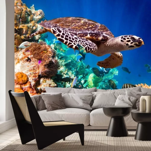 Fotobehang Schildpad en koraalrif