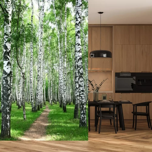 Fotobehang Smal pad door een berkenbos