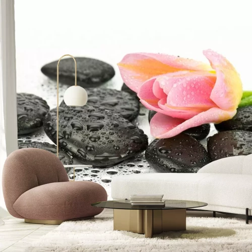 Sticker Tulipan na kamieniach doen spa