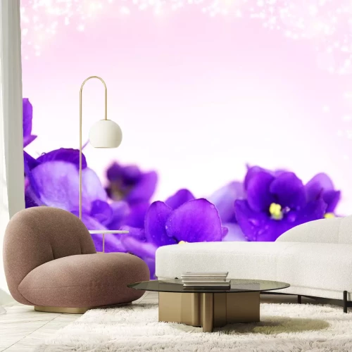 Sticker Bloemen op een poederroze achtergrond