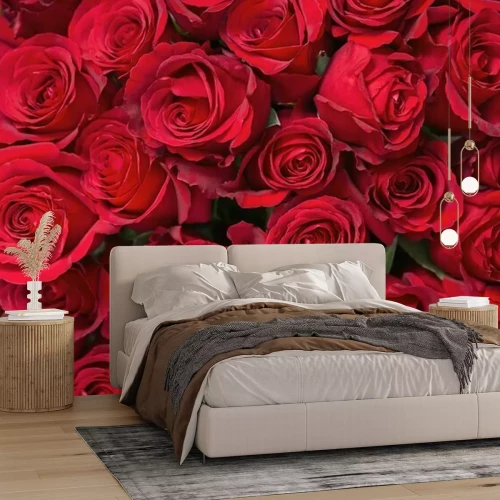 Fotobehang Rode rozen achtergrond
